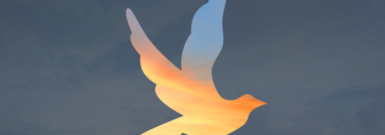 Bunte Taube leuchtet am Himmel